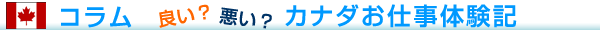 ����ࡡ�ɤ������������ʥ��Ż��θ���