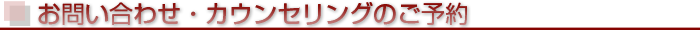 �ӥ��˴ؤ��뤴���̤�