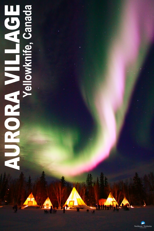 2025-26年冬季シーズン 　オーロラ・ツアー　スタッフ大募集 - AURORA VILLAGE  オーロラビッレジ イメージ画像