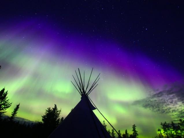 イエローナイフ/冬季スタッフ募集・オーロラや犬ぞりで有名なツアー会社となります - Aurora Wonderland & Becks Kennels イメージ画像