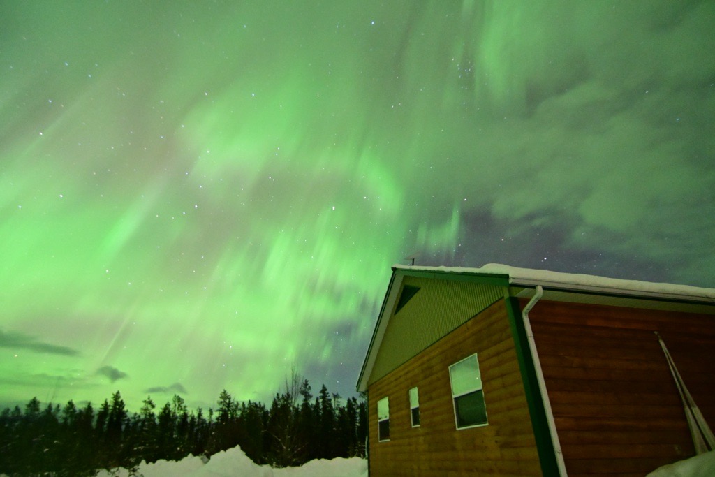 日本語ツアーガイド＆ドライバー in ホワイトホース オーロラロッジ - KALEIDO LODGE YUKON イメージ画像